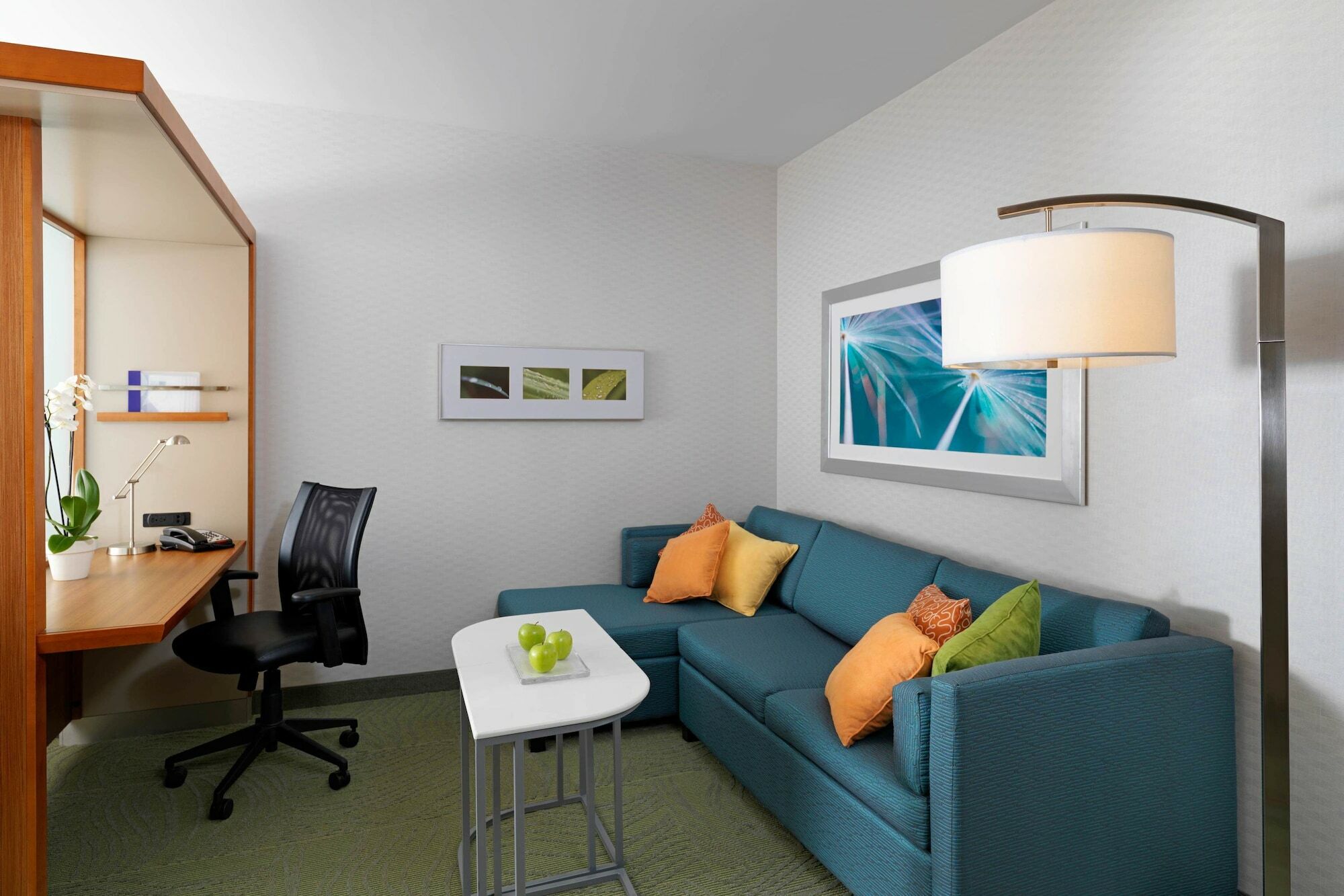 Springhill Suites By Marriott Hampton Portsmouth Exterior foto